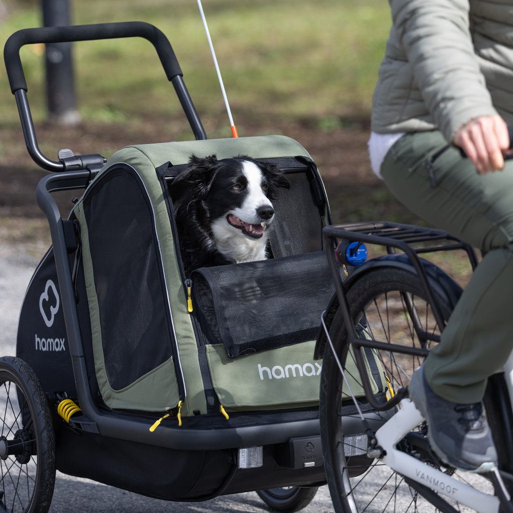 hamax Pluto M Hundefahrradanhänger