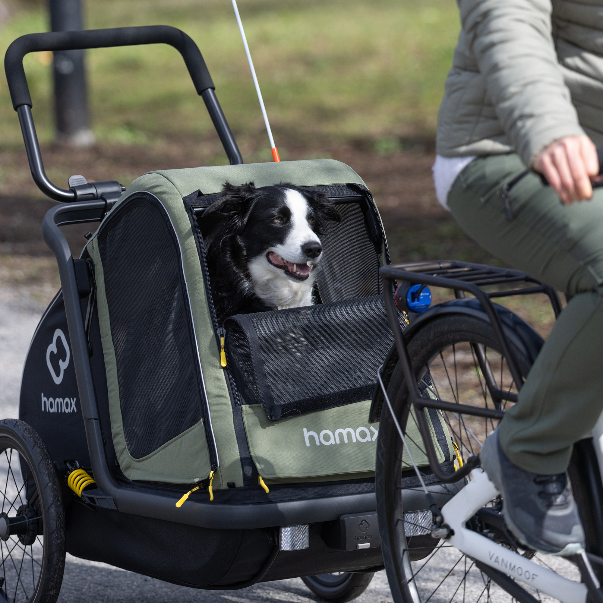 hamax Pluto M Hundefahrradanhänger