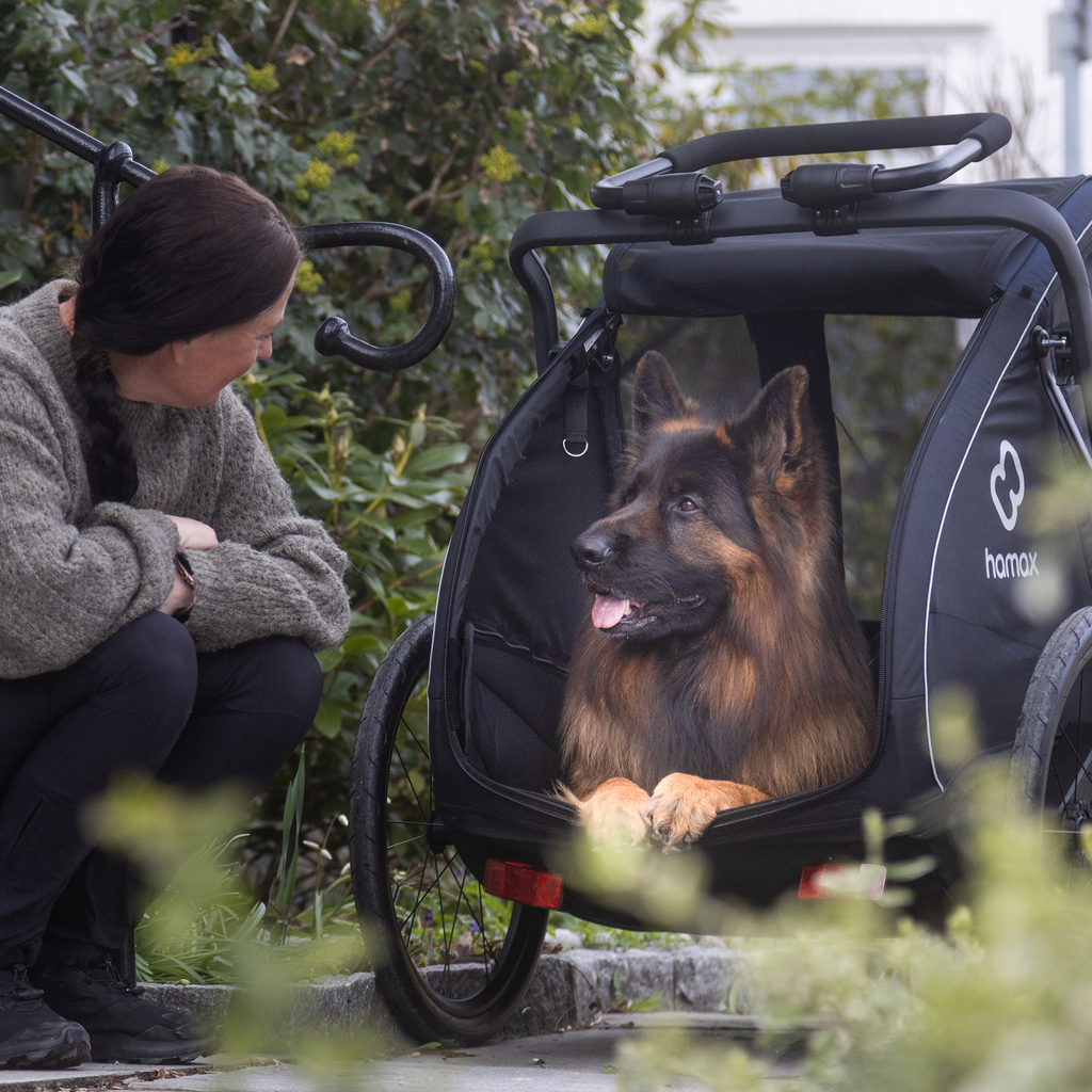 hamax Pluto L Hundefahrradanhänger