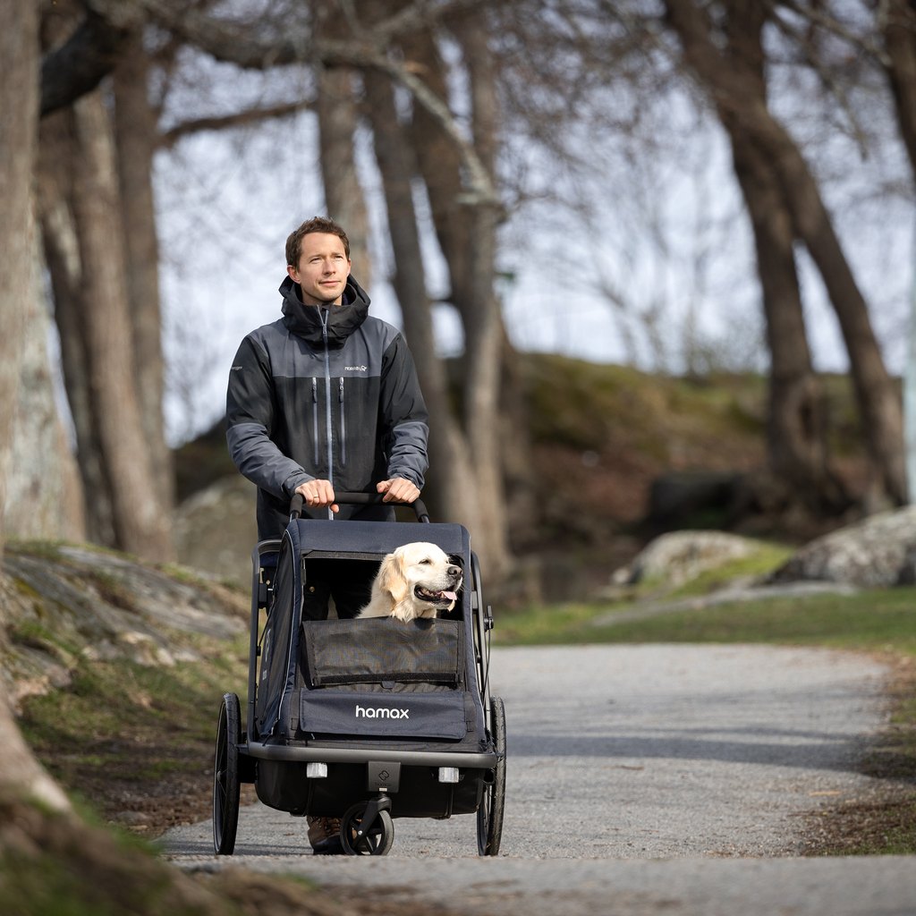 hamax Pluto L Hundefahrradanhänger