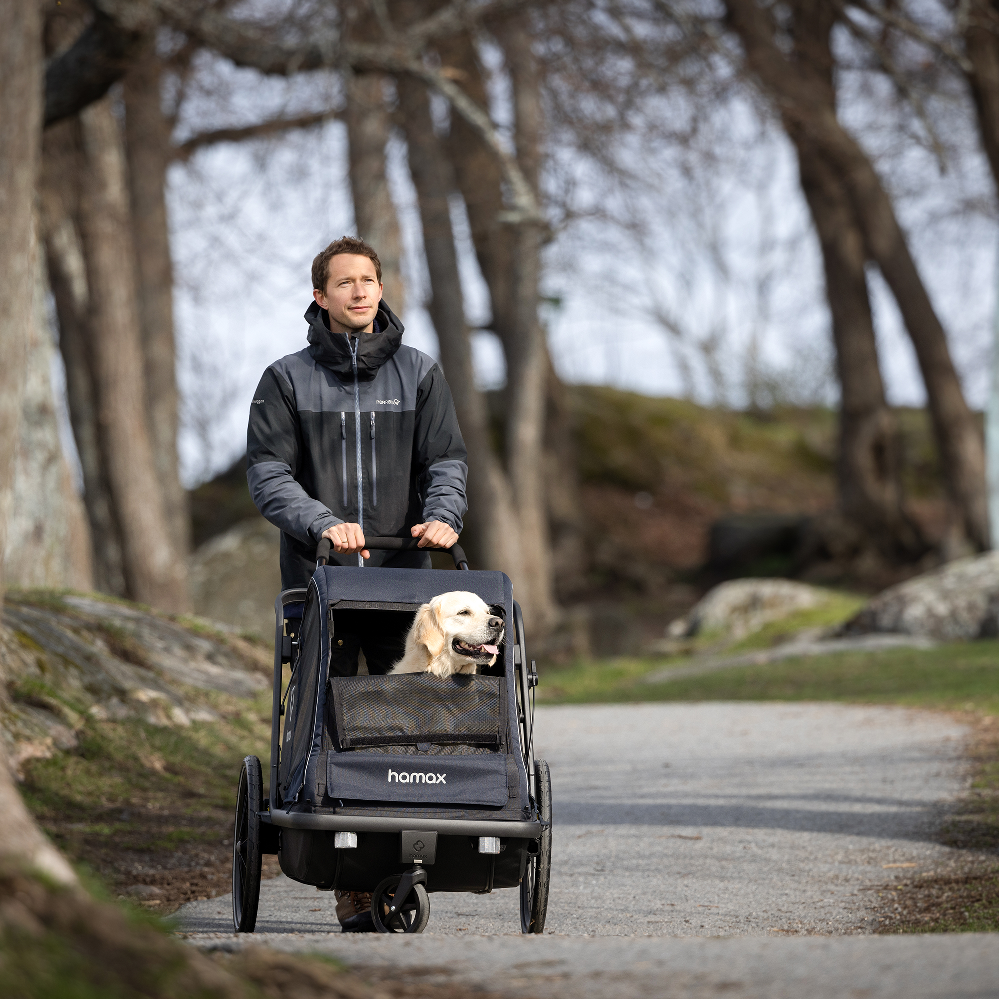 hamax Pluto L Hundefahrradanhänger