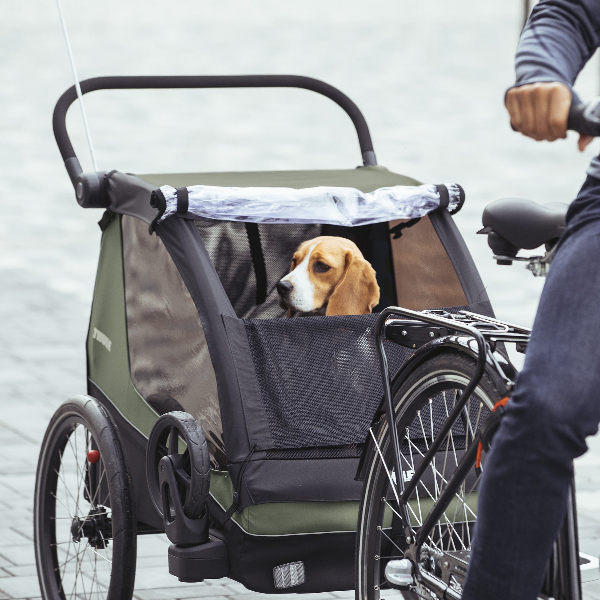 THULE Courier Vintage Green