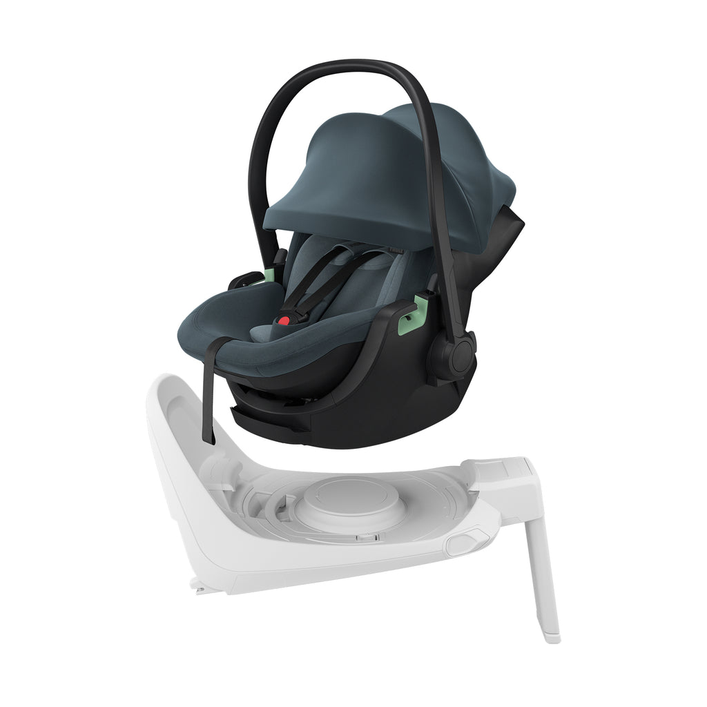 THULE Maple