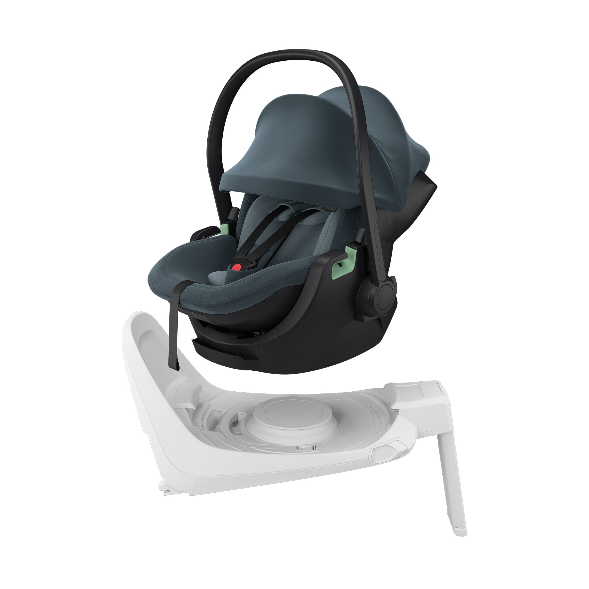 THULE Maple