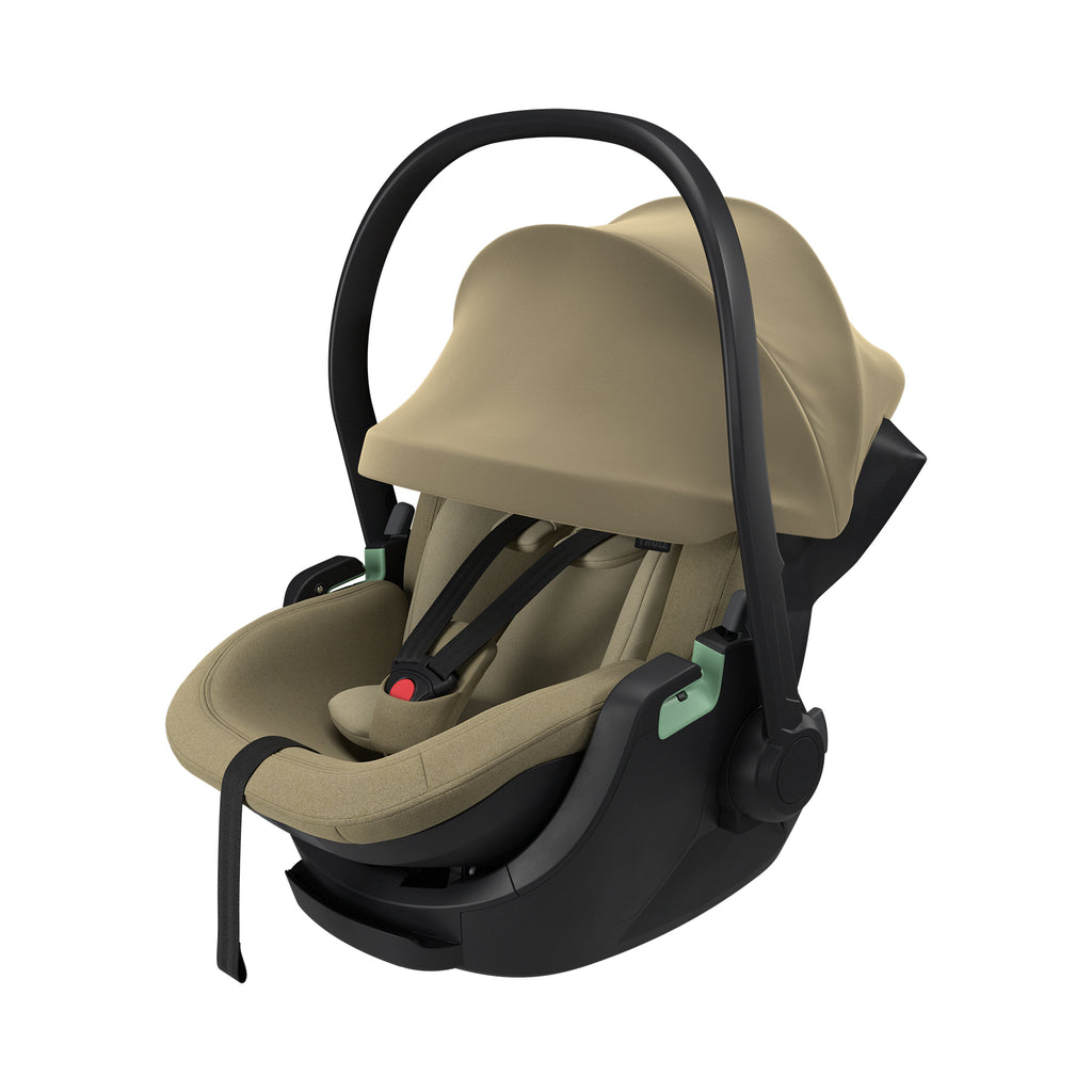 THULE Maple