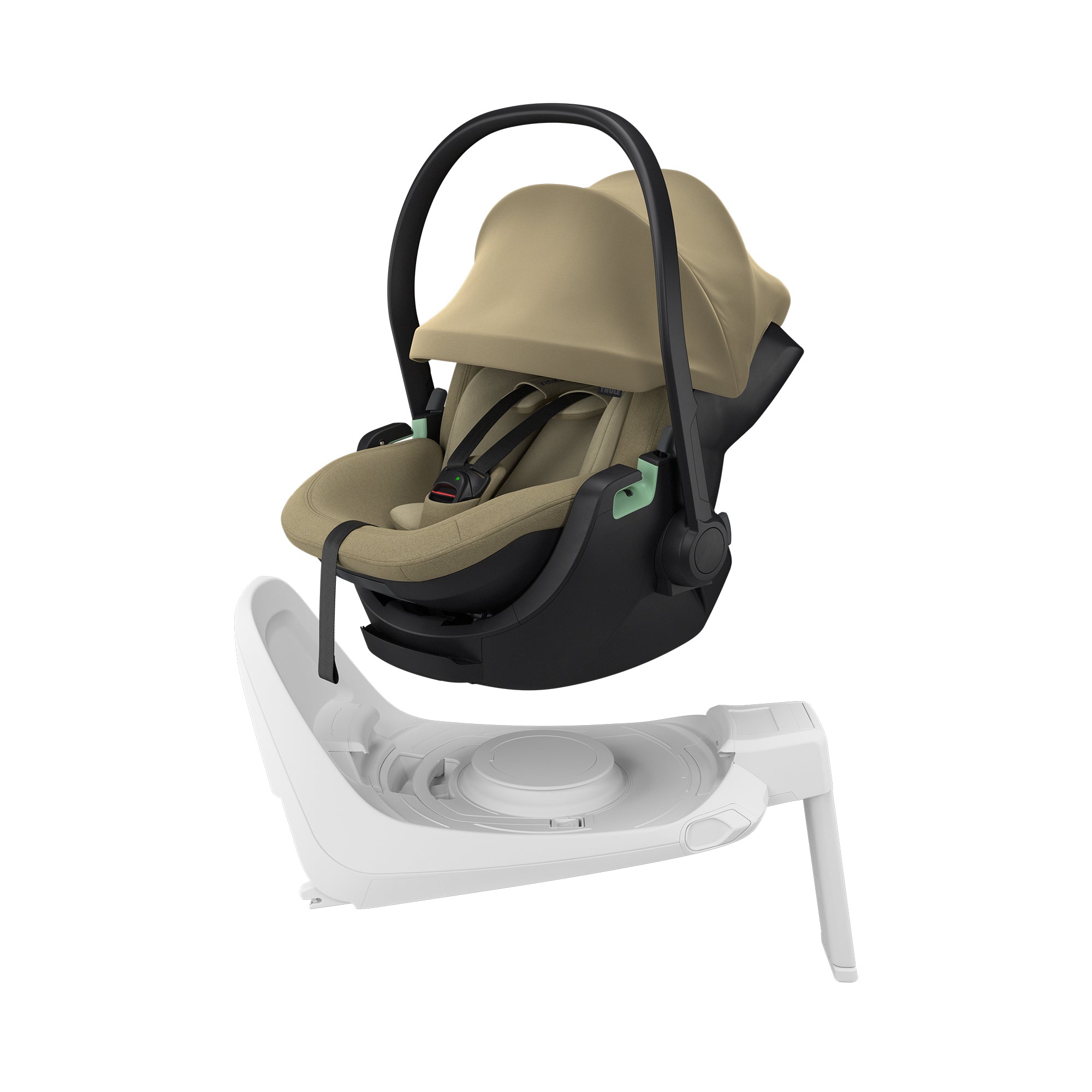 THULE Maple