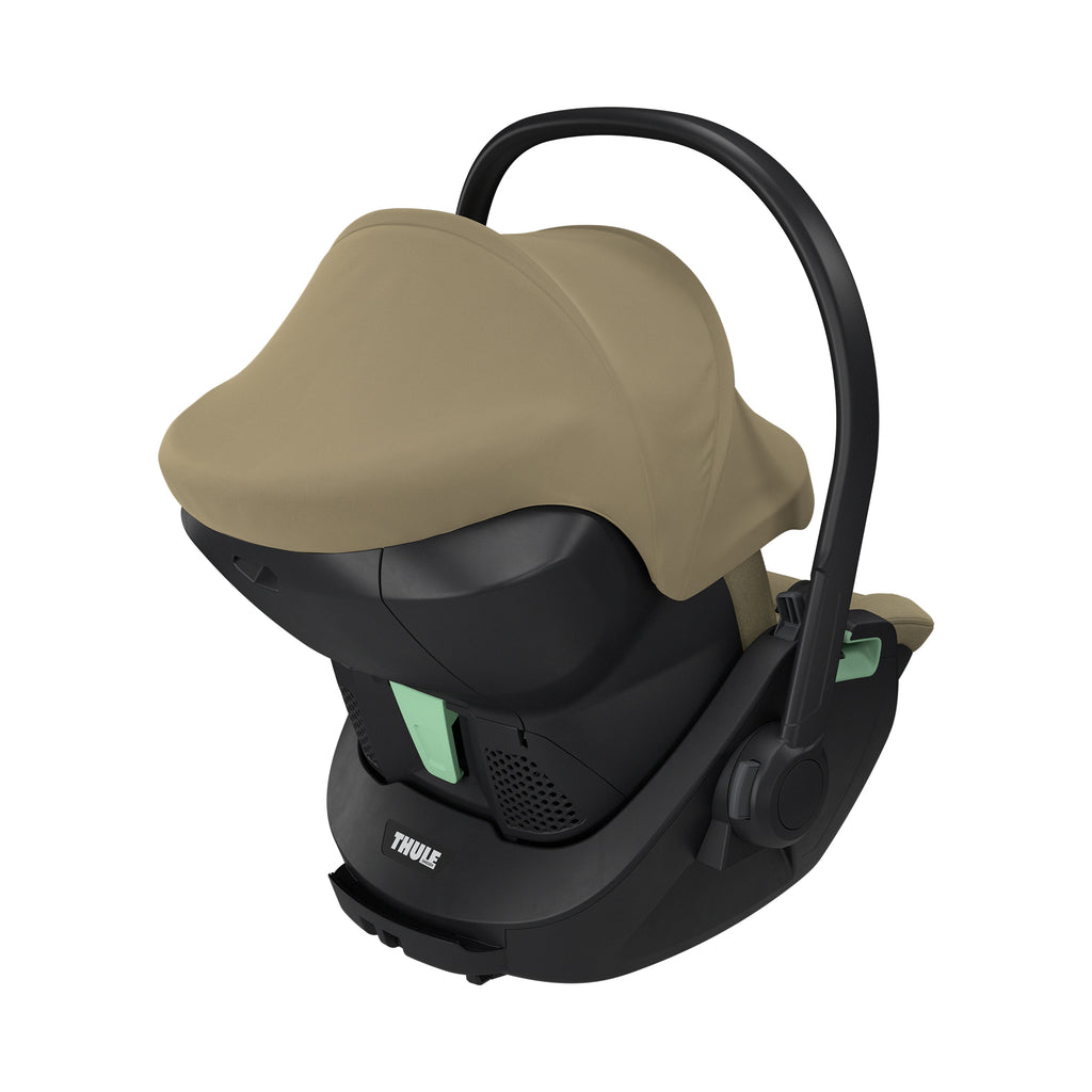 THULE Maple