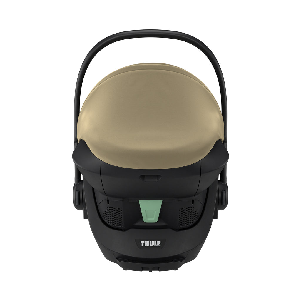 THULE Maple