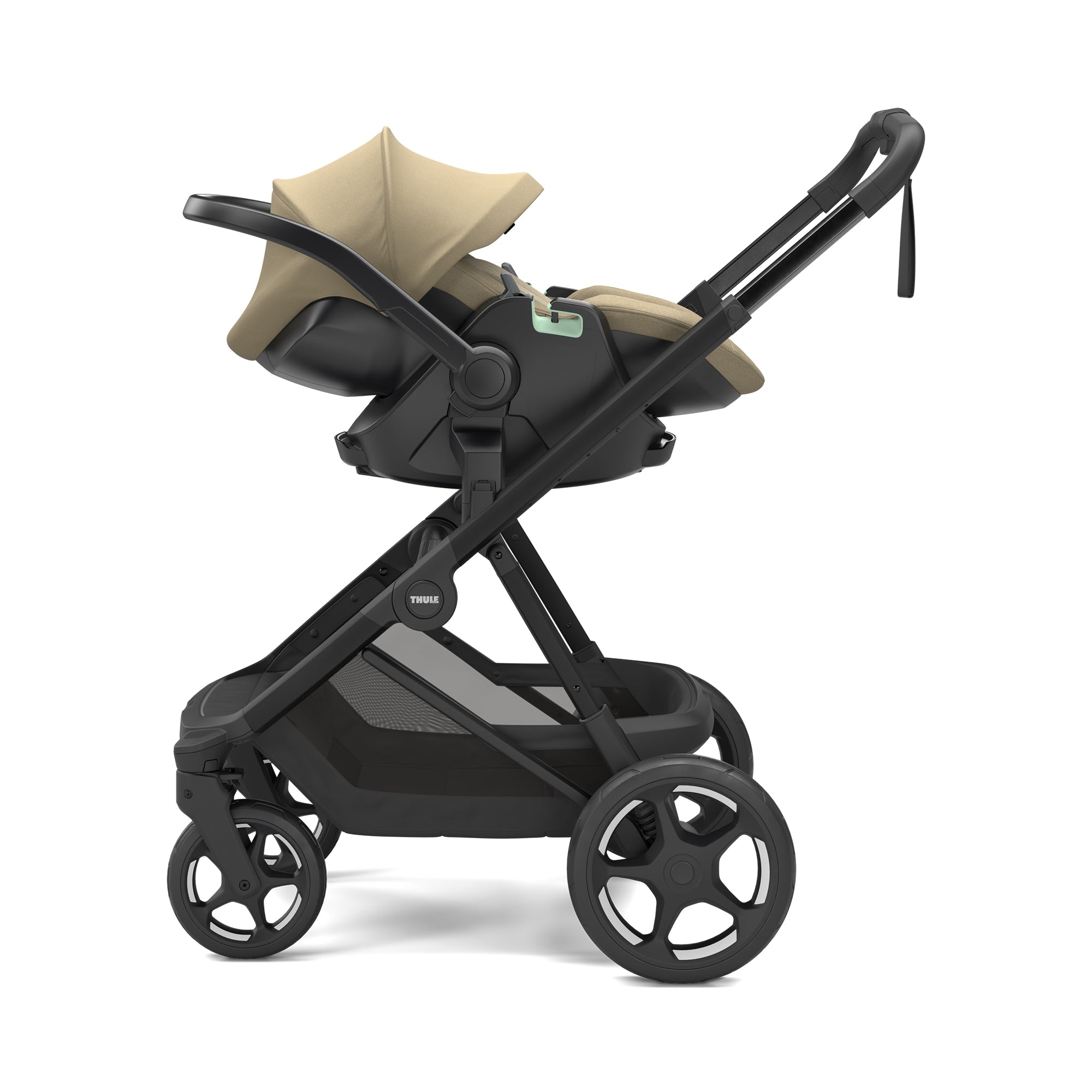 THULE Maple