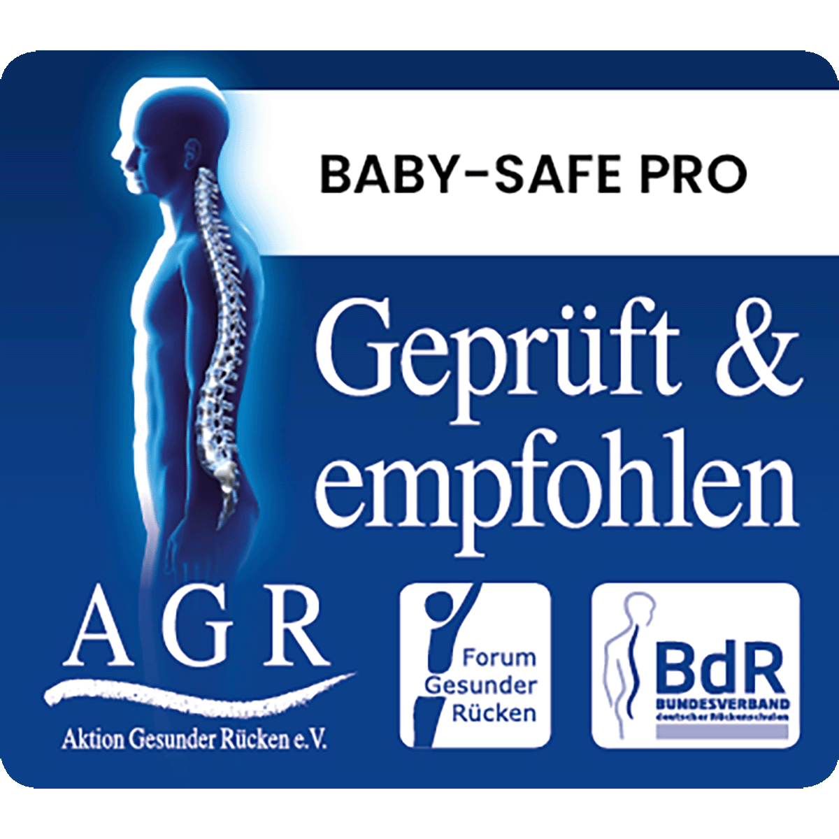 Britax Diamond BABY-SAFE PRO Style