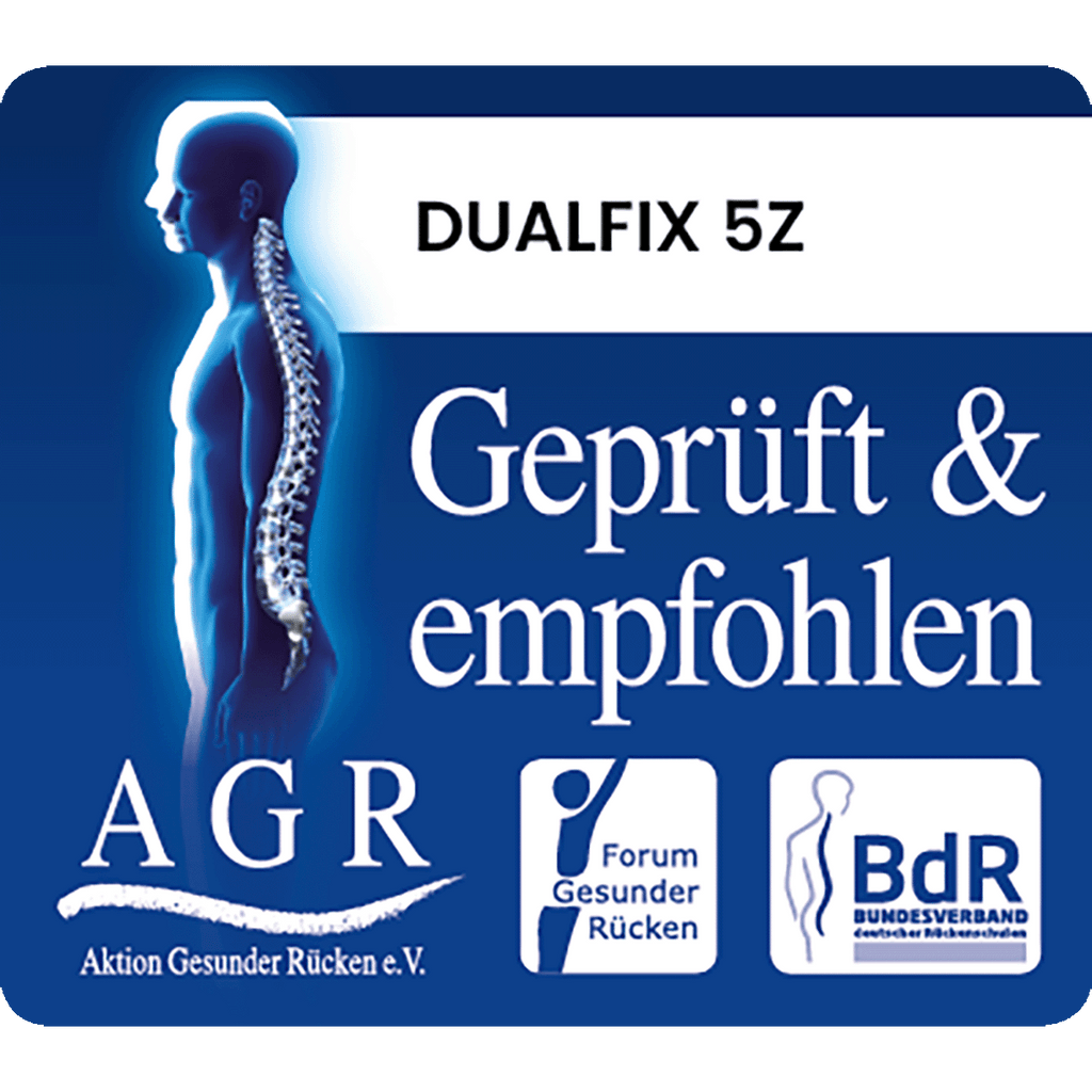Britax Diamond DUALFIX 5Z Style